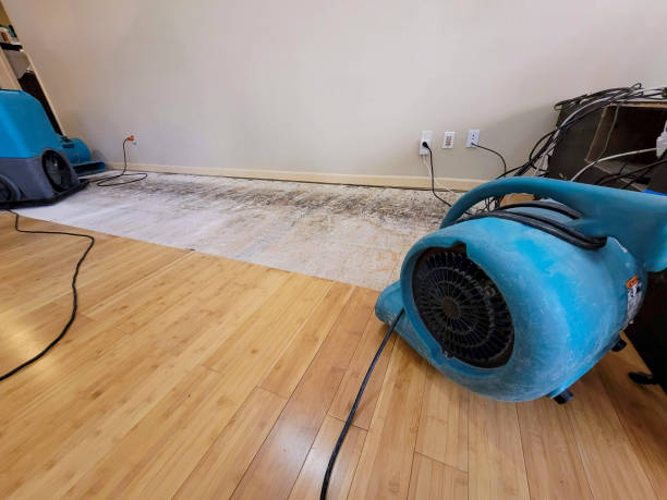 Professional Ceiling Water Damage Repair technician working in Brownton, MN